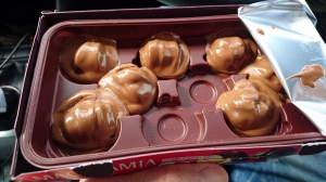 DSC_0488 (2500x1406).jpg